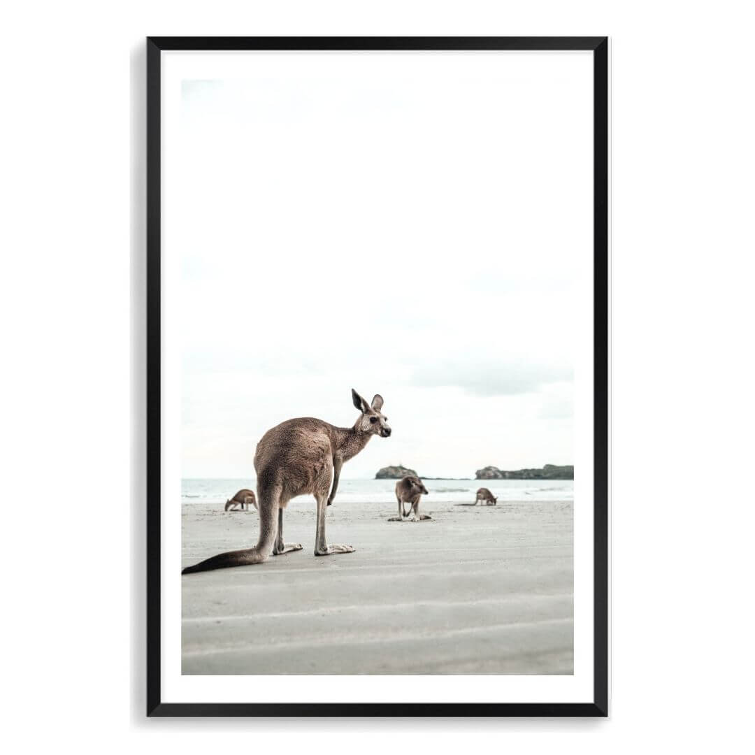 A coastal wall art photo print of beach side kangaroos with a black frame, white border by Beautiful Home Decor