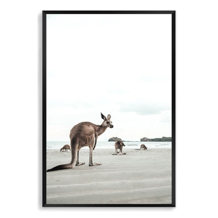 A wall art photo print of beach side kangaroos with a black frame, no white border at Beautiful Home Decor