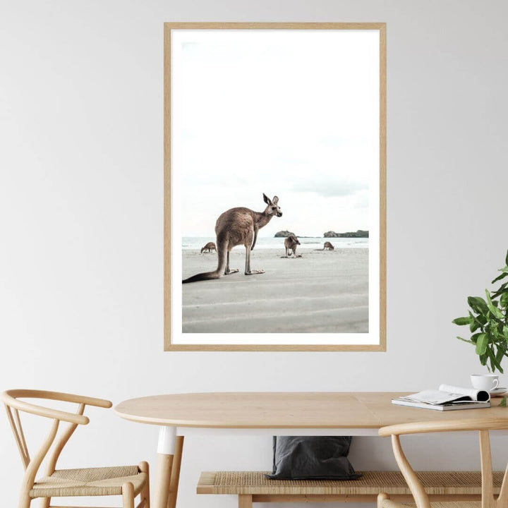 A coastal wall art photo print of beach side kangaroos with a timber frame or unframed to decorate your dining room
