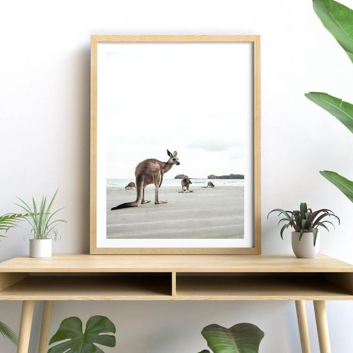 A wall art photo print of beach side kangaroos with a timber frame or unframed to style shelves and empty walls