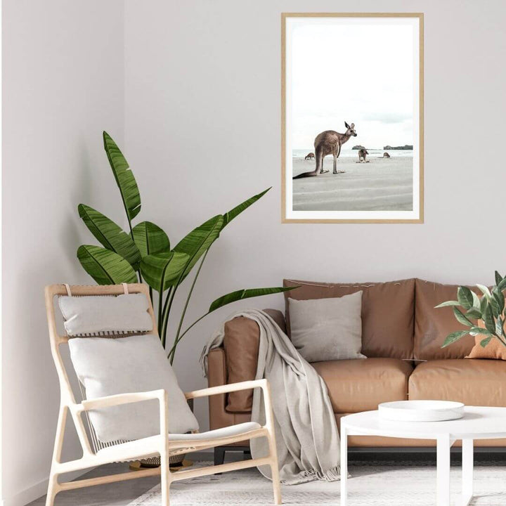 A wall art photo print of beach side kangaroos with a timber frame or unframed for your coastal living room behind sofa