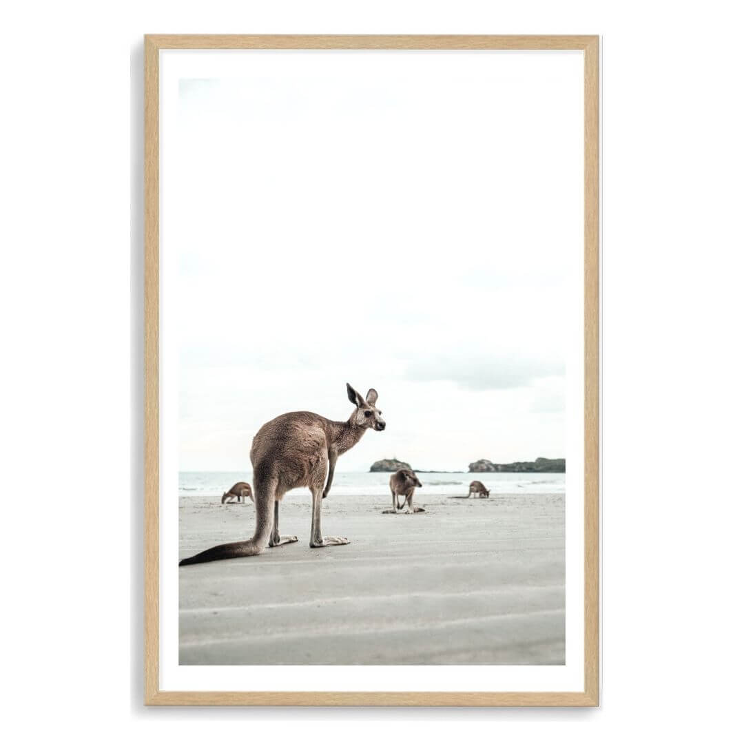 A wall art photo print of beach side kangaroos with a timber frame, white border by Beautiful Home Decor
