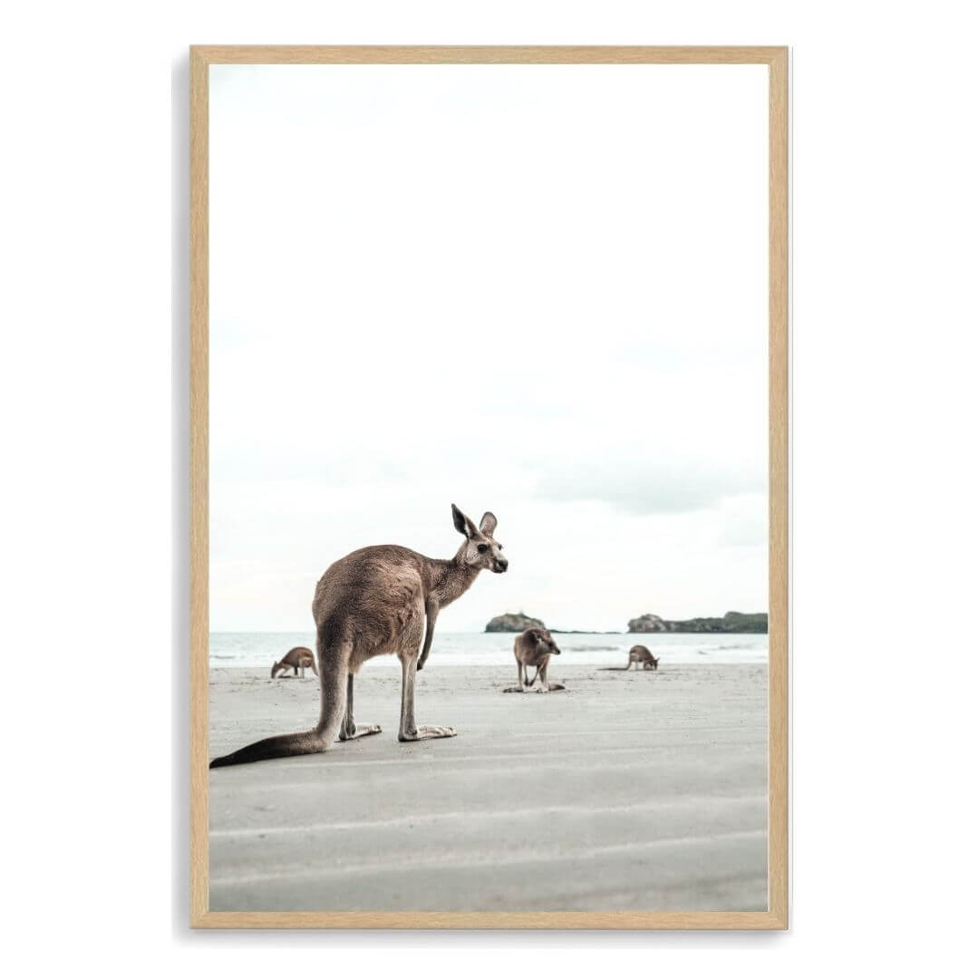 A wall art photo print of beach side kangaroos with a timber frame, no white border at Beautiful HomeDecor