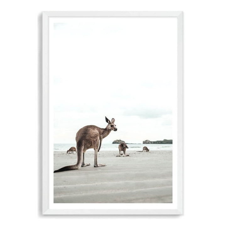 A wall art photo print of beach side kangaroos with a white frame, white border by Beautiful Home Decor