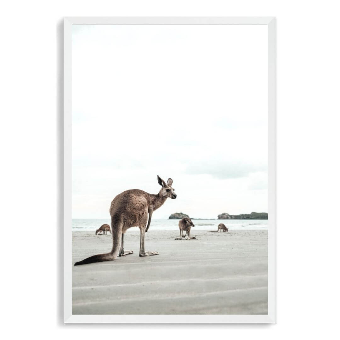 A wall art photo print of beach side kangaroos with a white frame, no white border at Beautiful HomeDecor