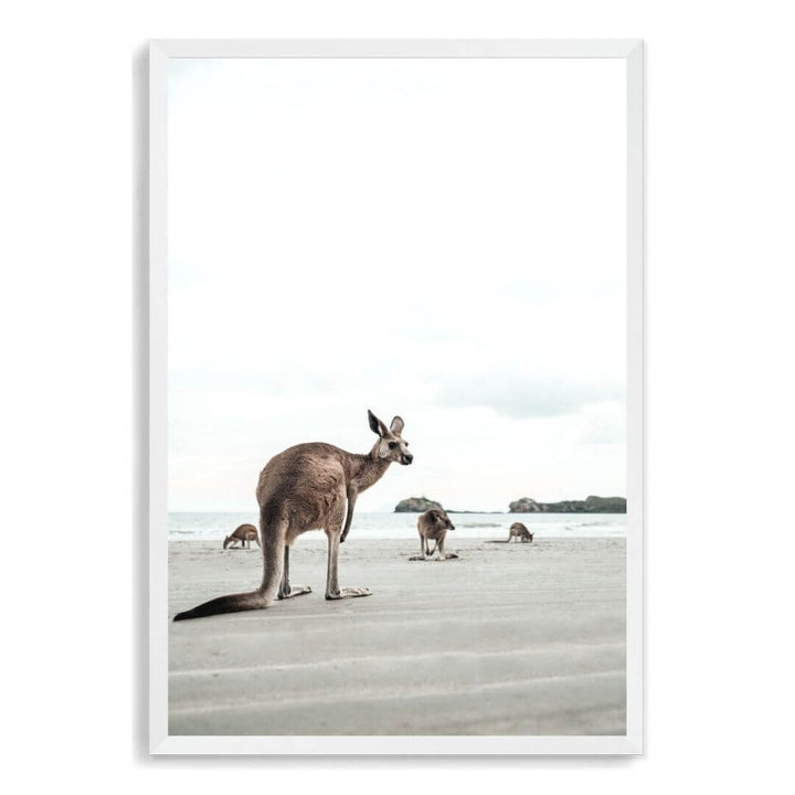 A wall art photo print of beach side kangaroos with a white frame, no white border at Beautiful HomeDecor