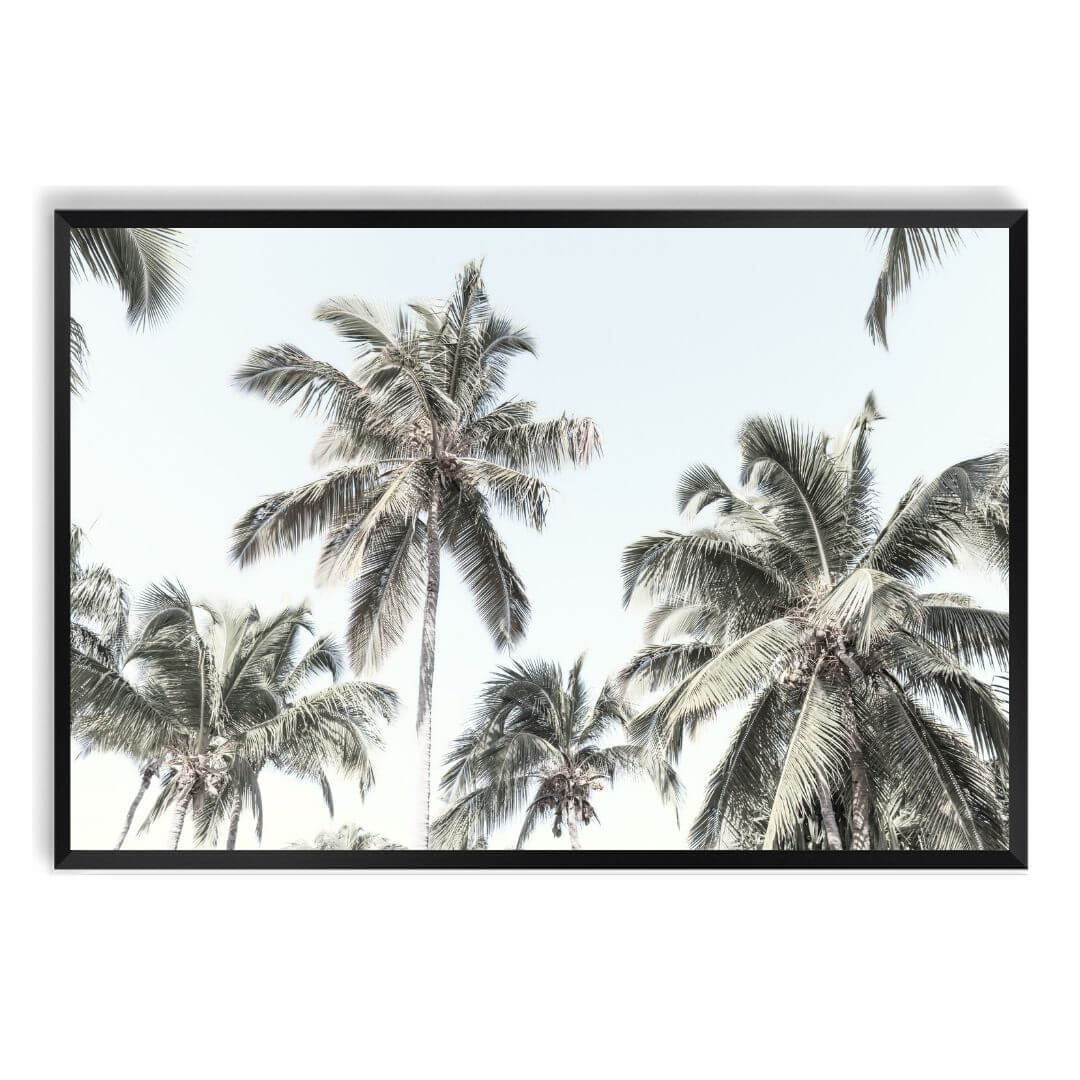 A wall art photo print of coastal palm trees and blue sky with a black frame, no white border at Beautiful HomeDecor