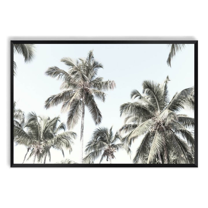 A wall art photo print of coastal palm trees and blue sky with a black frame, no white border at Beautiful HomeDecor