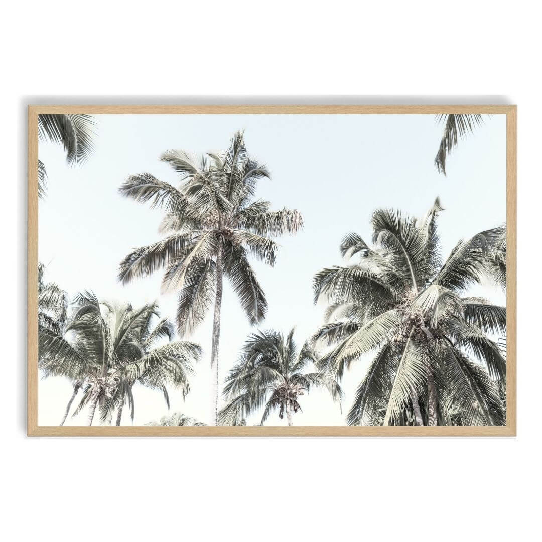 A wall art photo print of coastal palm trees and blue sky with a timber frame, no white border at Beautiful HomeDecor