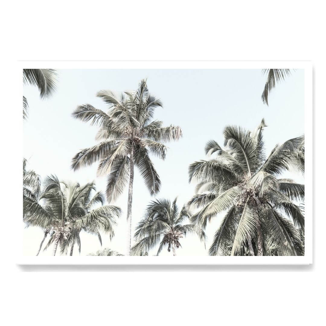 A wall art photo print of coastal palm trees and blue sky unframed with a white border by Beautiful Home Decor