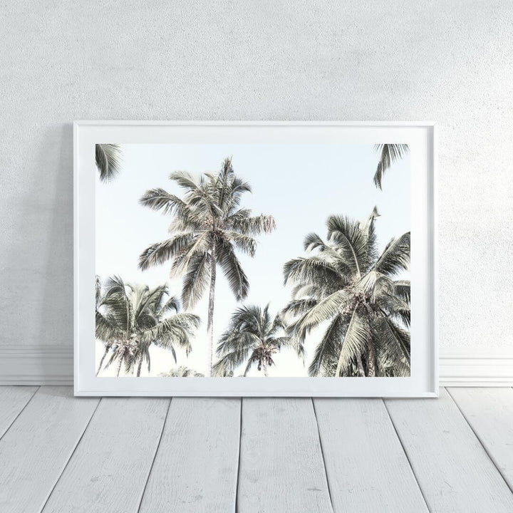 A wall art photo print of coastal palm trees and blue sky with a white frame or unframed to decorate an empty wall