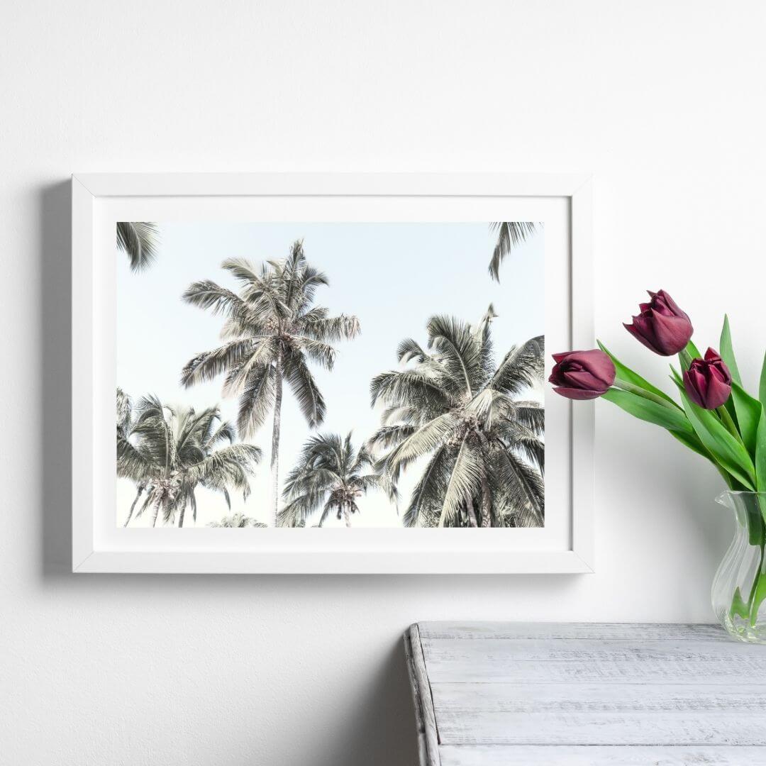 A wall art photo print of coastal palm trees and blue sky with a white frame or unframed to style shelves and empty walls