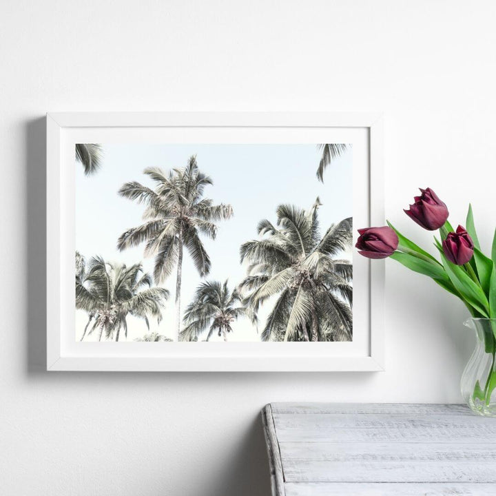 A wall art photo print of coastal palm trees and blue sky with a white frame or unframed to style shelves and empty walls
