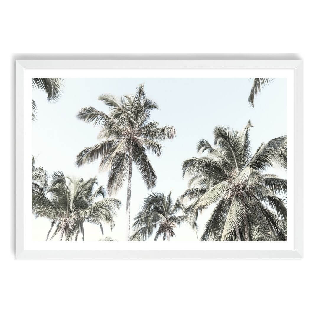 A wall art photo print of coastal palm trees and blue sky with a white frame, white border by Beautiful Home Decor