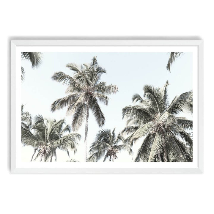 A wall art photo print of coastal palm trees and blue sky with a white frame, white border by Beautiful Home Decor
