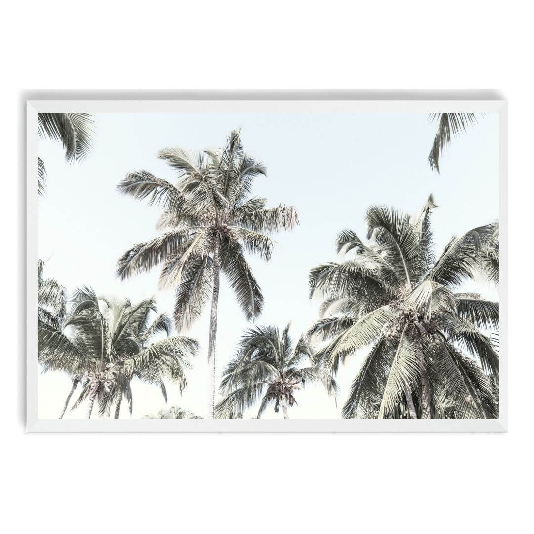 A wall art photo print of coastal palm trees and blue sky with a white frame, no white border at Beautiful HomeDecor