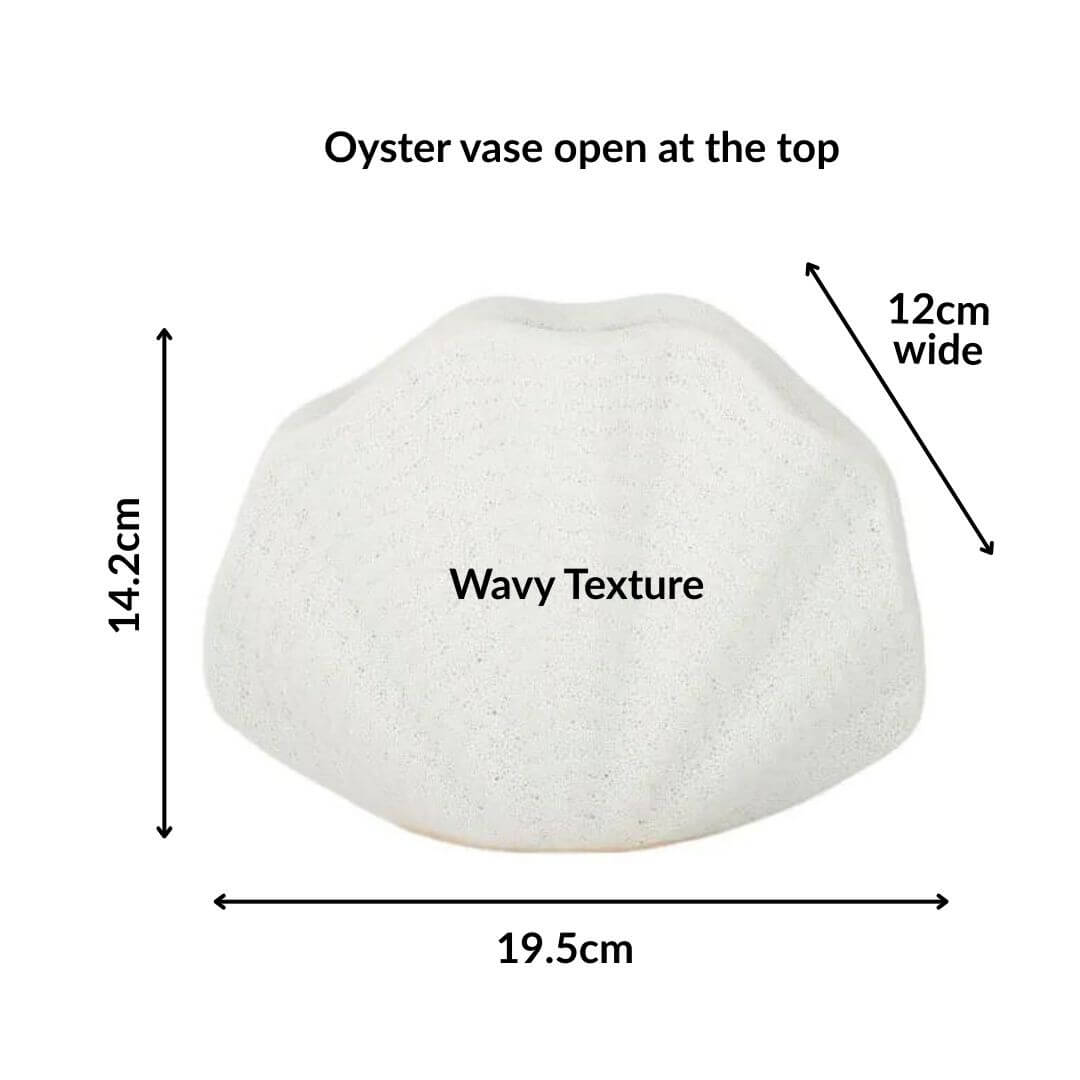 White ceramic oyster vase with measurements and texture details on a white background