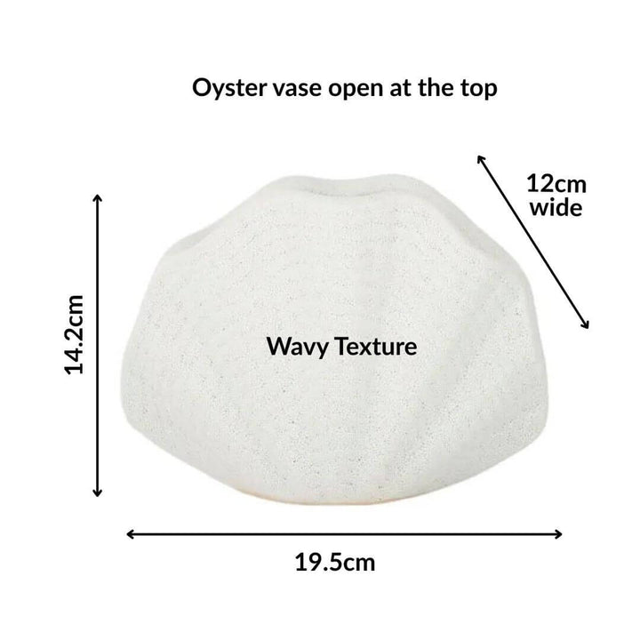 White ceramic oyster vase with measurements and texture details on a white background
