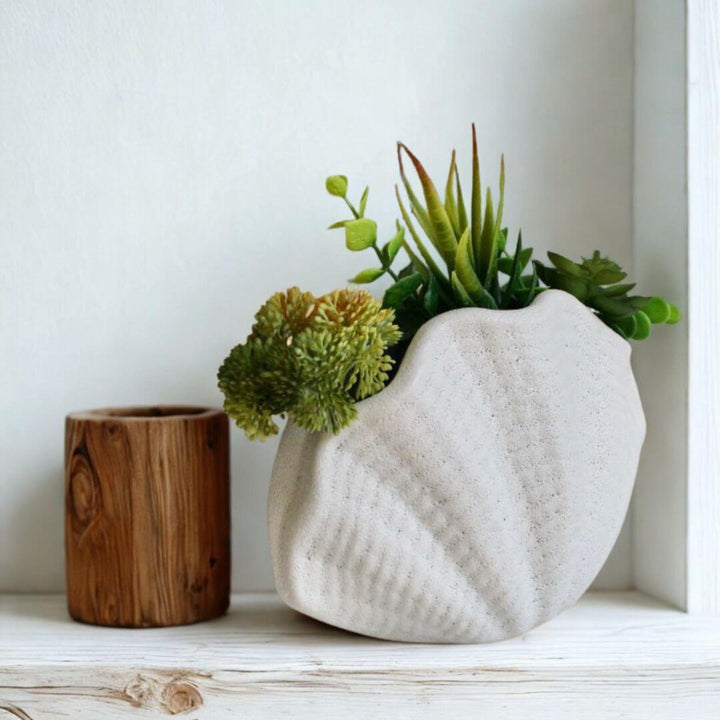 Coastal white ceramic oyster vase with plants on a wooden shelf