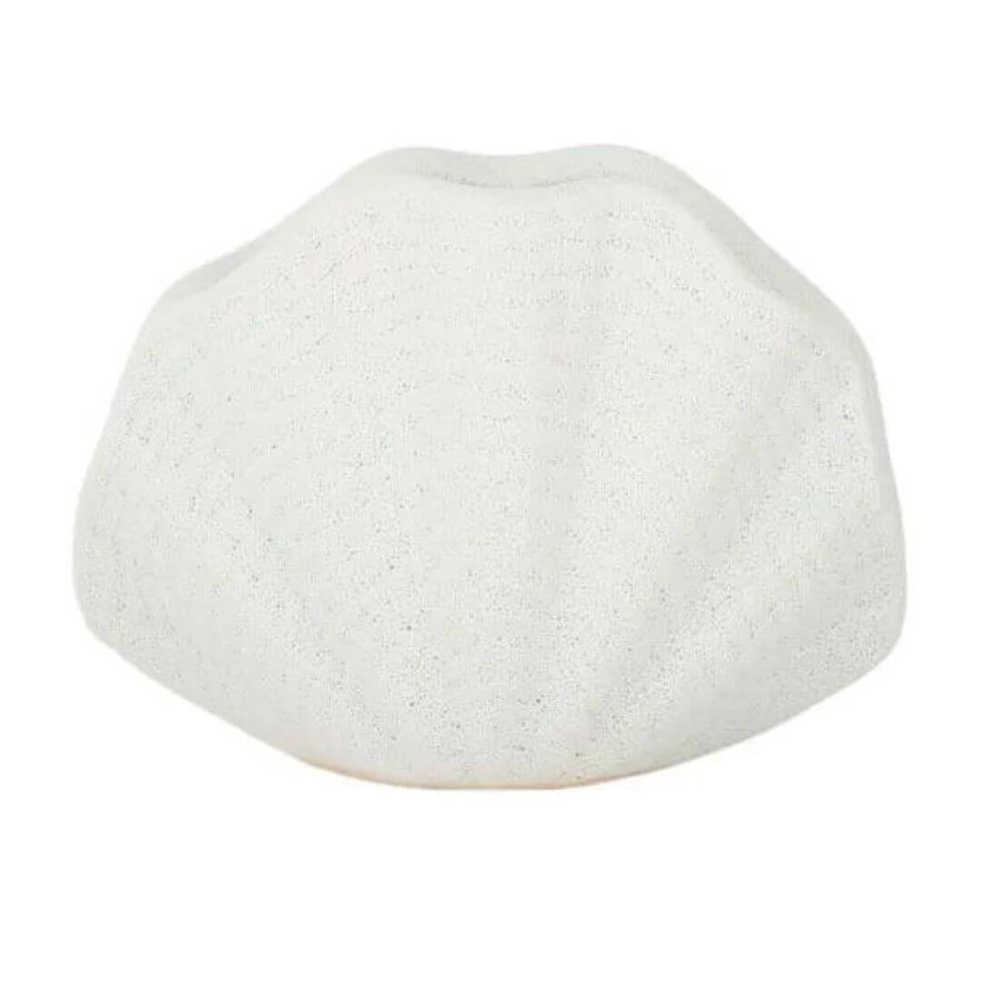 White Ceramic Oyster Vase Decorative Accessory for your Coastal inspired home.