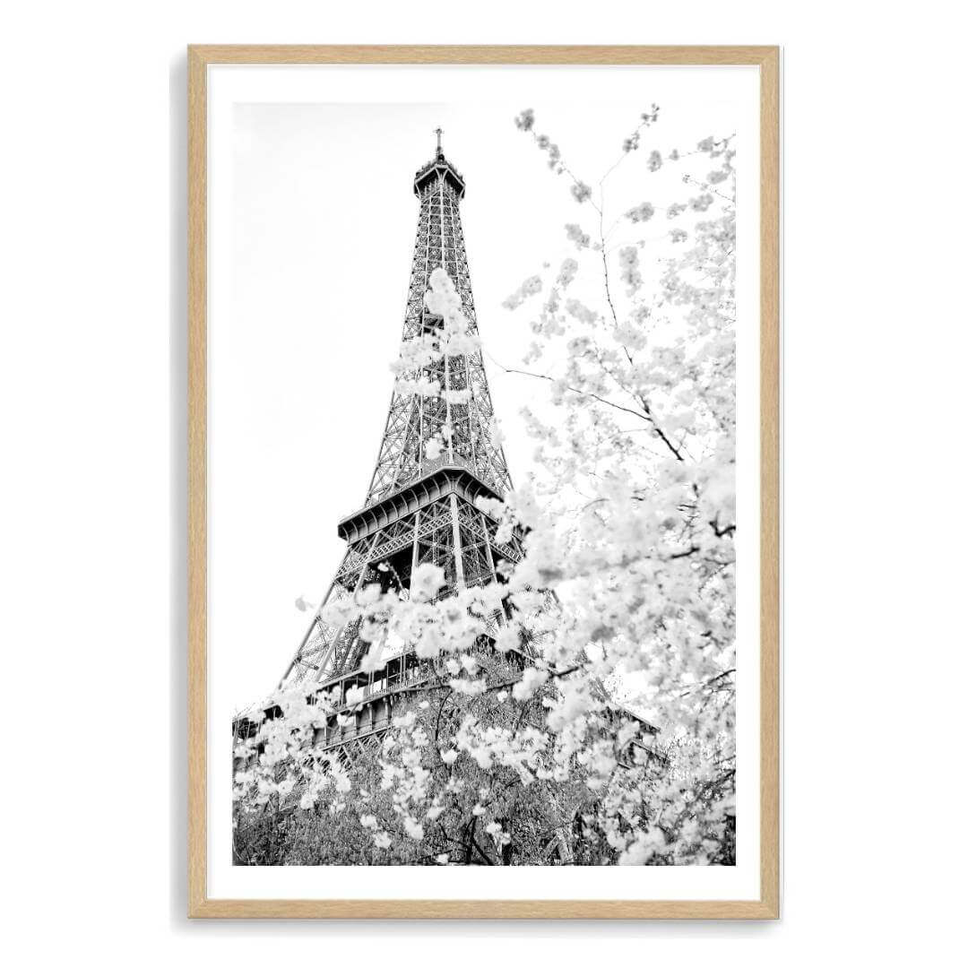 A black and white wall art photo print of the Eiffel Tower in Spring with a timber frame, white border by Beautiful Home Decor