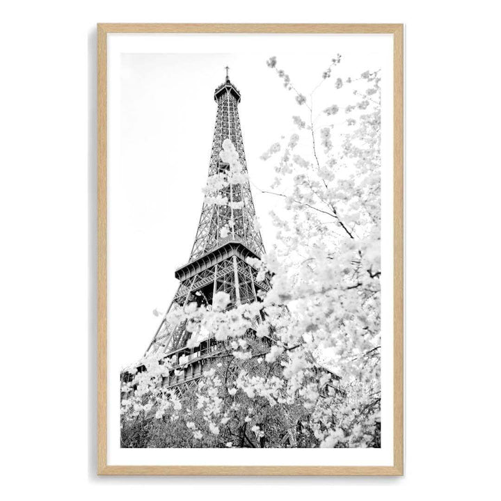 A black and white wall art photo print of the Eiffel Tower in Spring with a timber frame, white border by Beautiful Home Decor