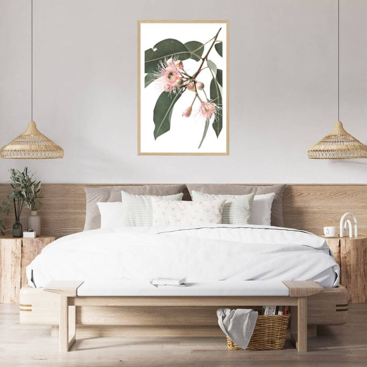 A wall art photo print of native gum eucalyptus flower a with a timber frame or unframed for your bedroom empty walls