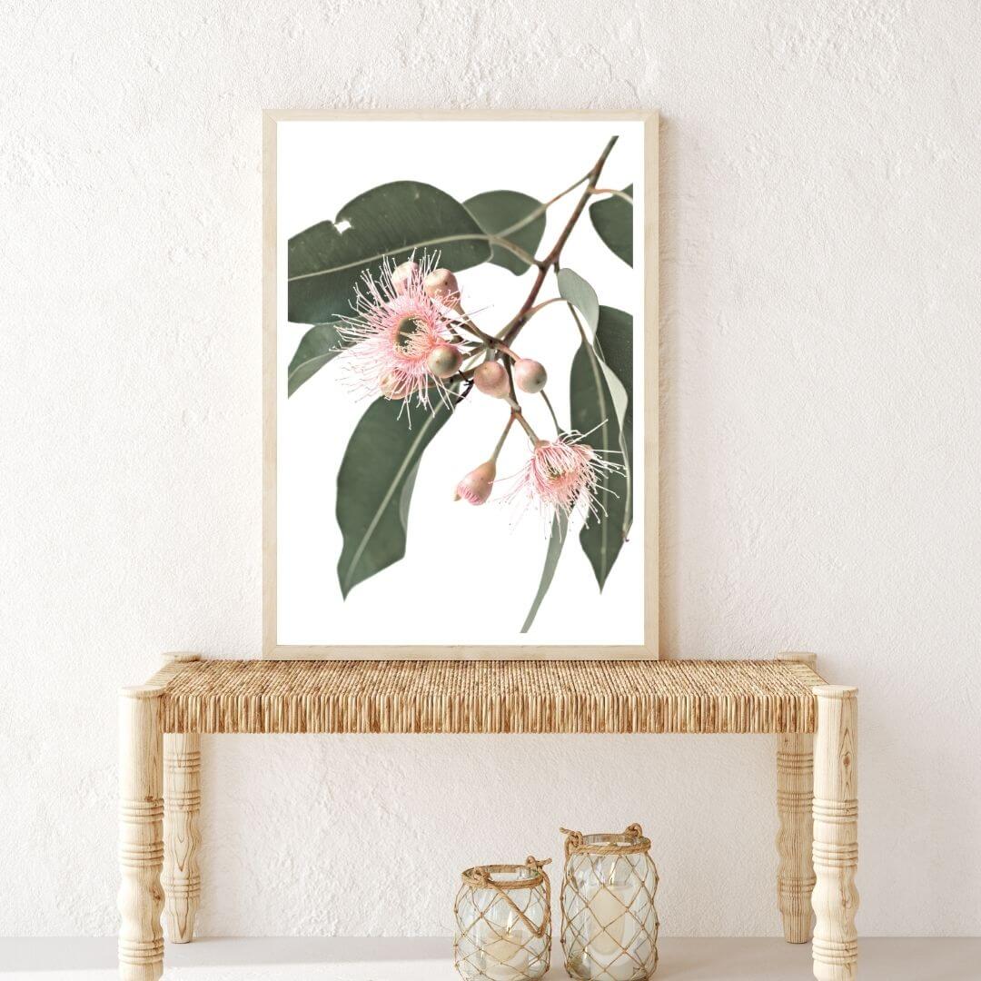 A wall art photo print of native gum eucalyptus flower a with a timber frame in hallway shop online at Beautiful Home Decor with free shipping