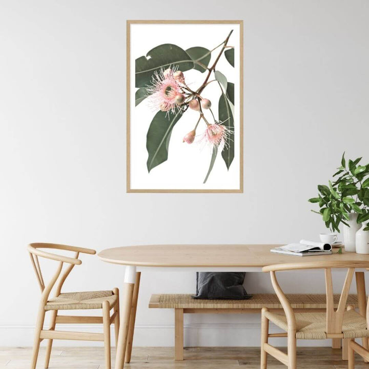 A wall art photo print of native gum eucalyptus flower a with a timber frame to style a coastal Australian dining room