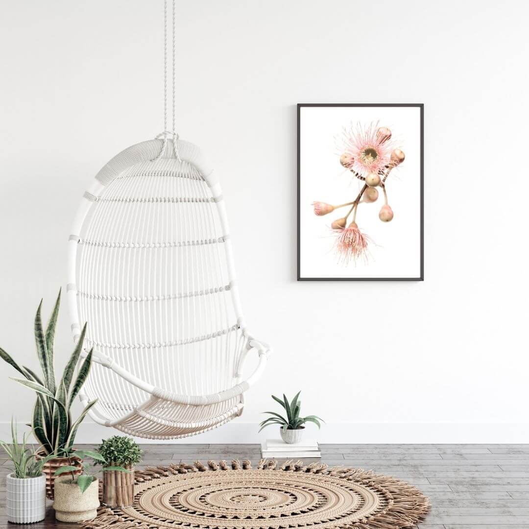 A wall art photo print of native gum eucalyptus flower b with a black frame or unframed to decorate an empty wall