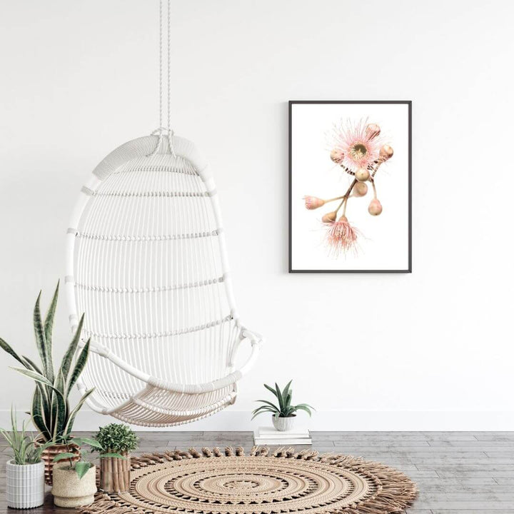 A wall art photo print of native gum eucalyptus flower b with a black frame or unframed to decorate an empty wall