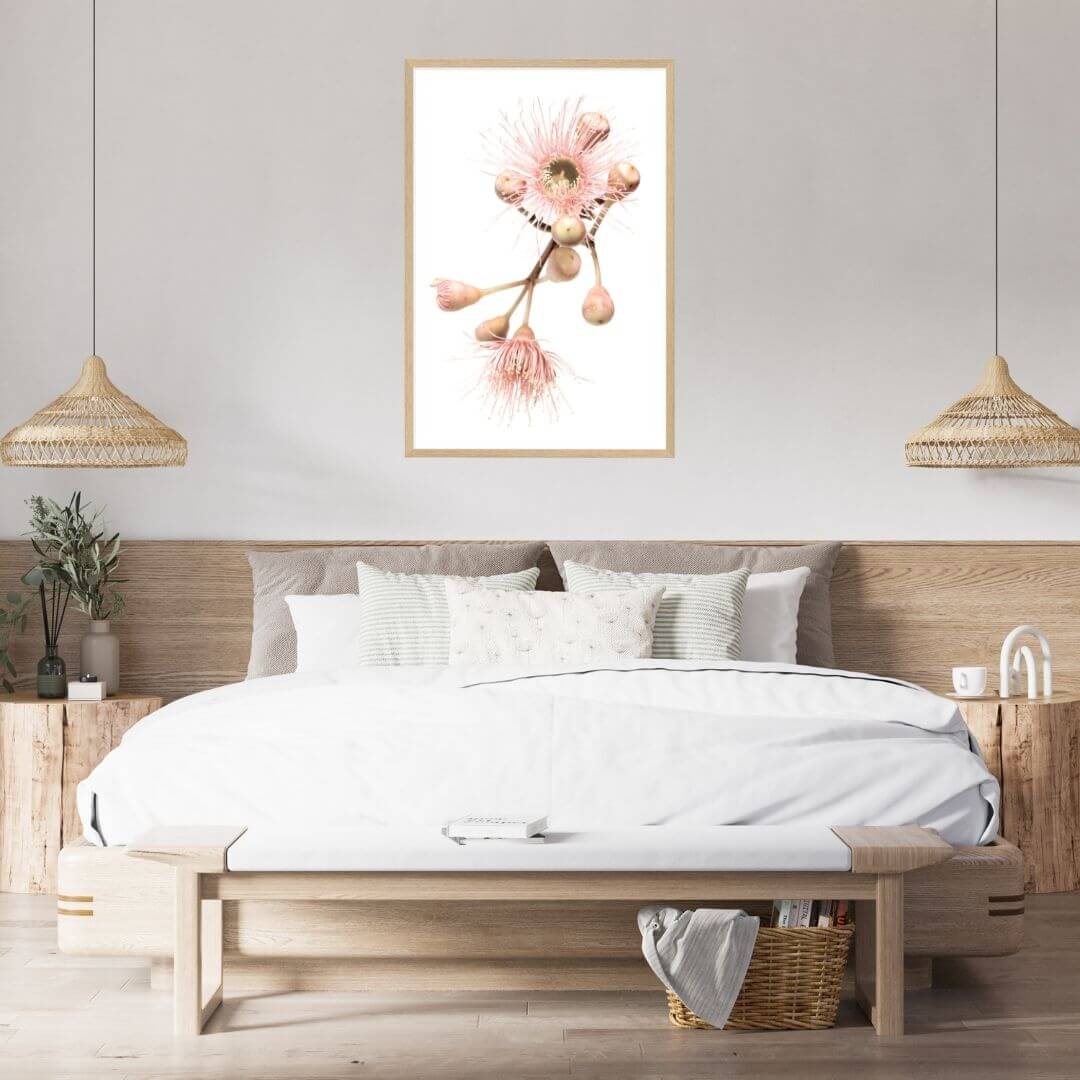 A wall art photo print of native gum eucalyptus flower b with a timber frame or unframed for your bedroom empty walls