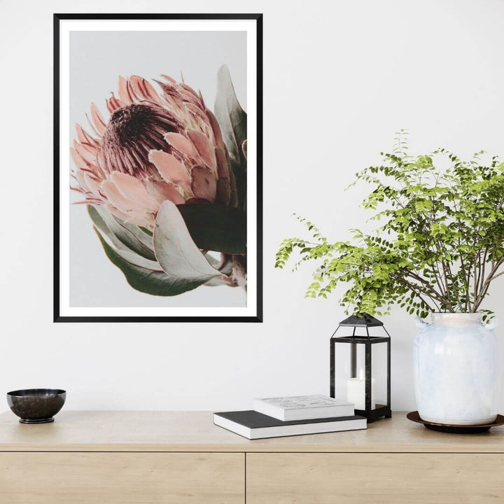 A wall art photo print of a peach protea floral a with a black frame or unframed to decorate an empty wall