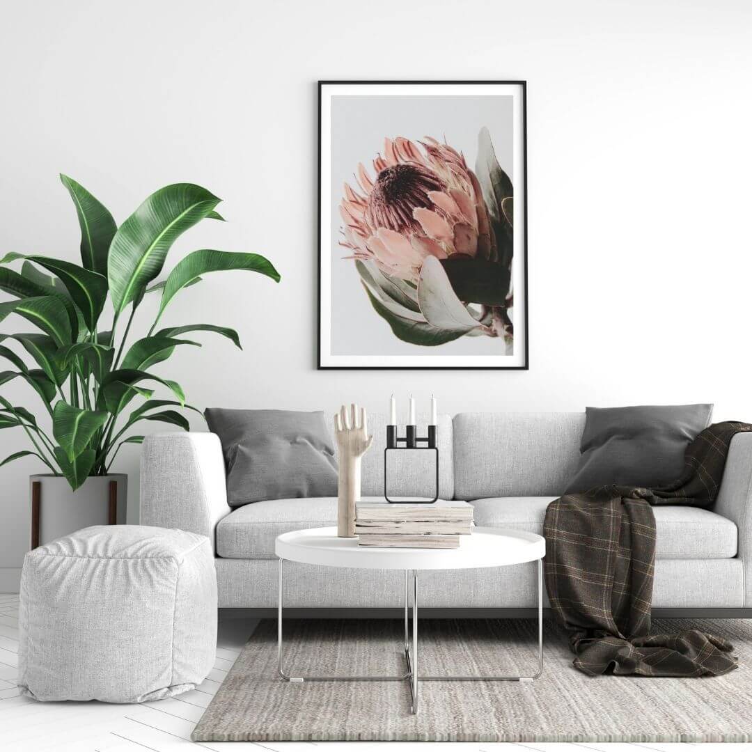 A wall art photo print of a peach protea floral a with a black frame or unframed to decorate a wall in your living room