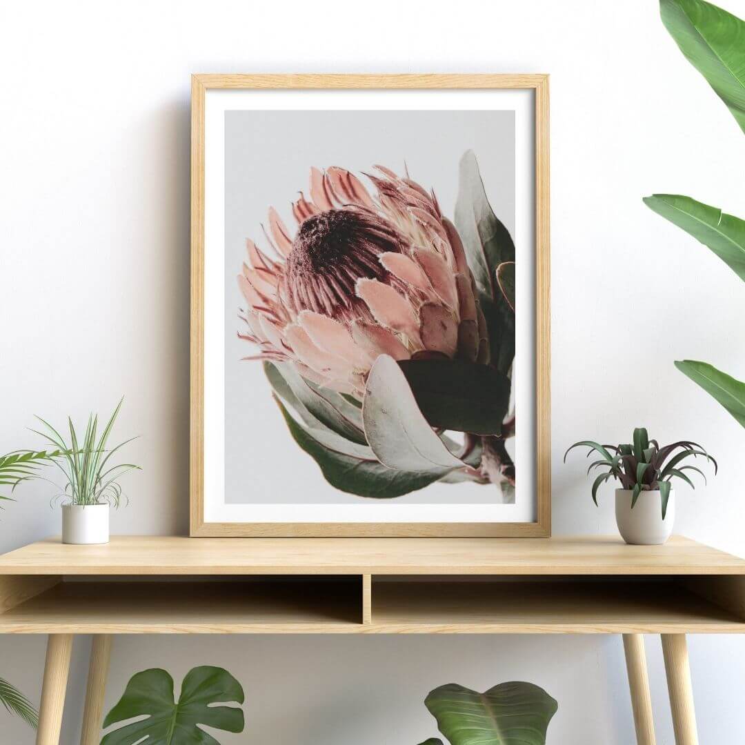 A wall art photo print of a peach protea floral a with a timber frame or unframed to decorate your console table