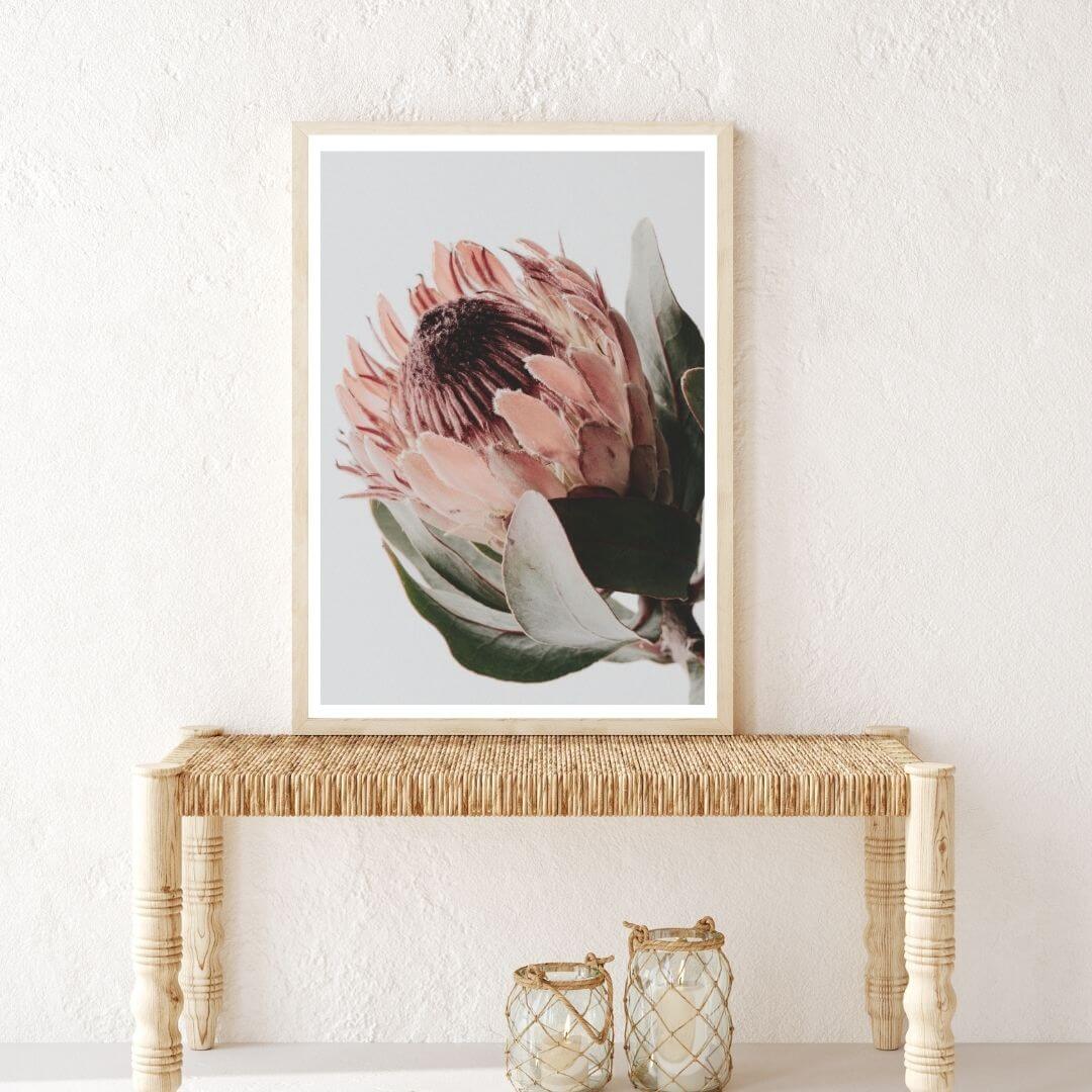 A wall art photo print of a peach protea floral a with a timber frame in hallway shop online at Beautiful Home Decor with free shipping