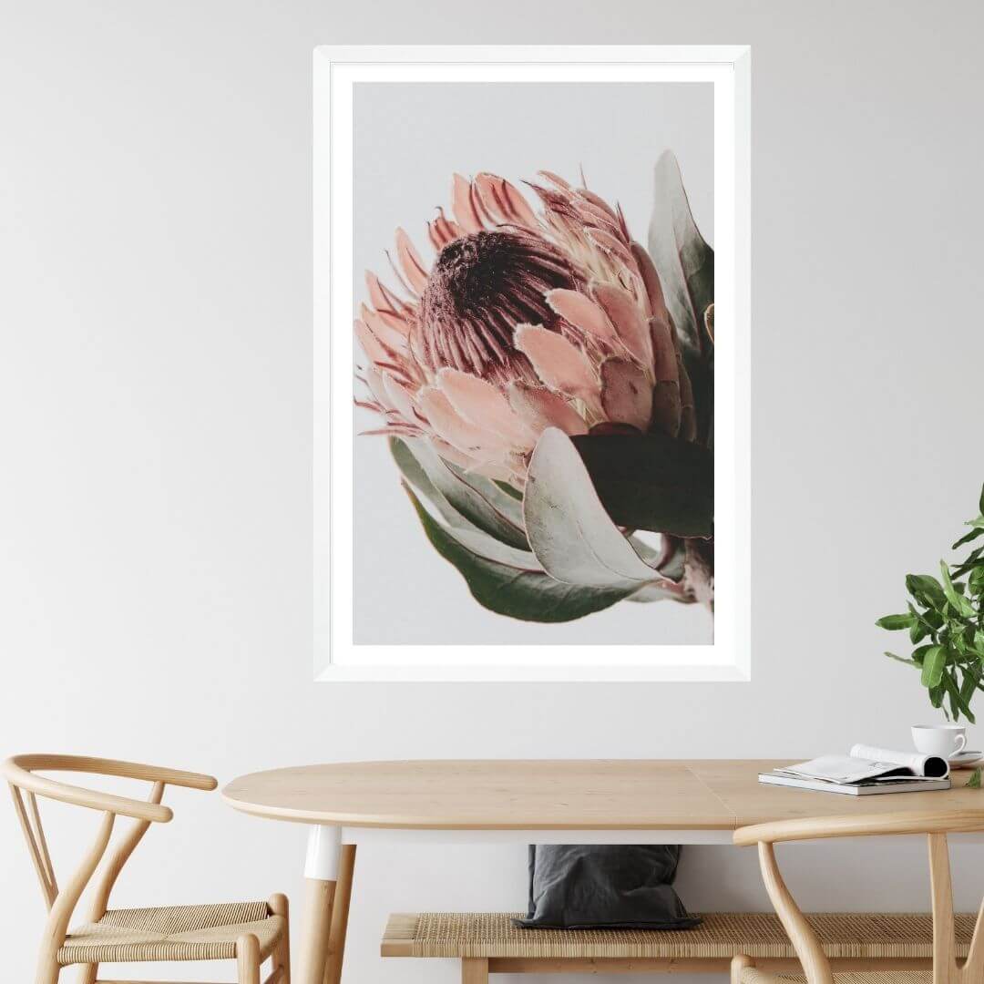 A wall art photo print of a peach protea floral a with a white frame or unframed to style your dining room walls