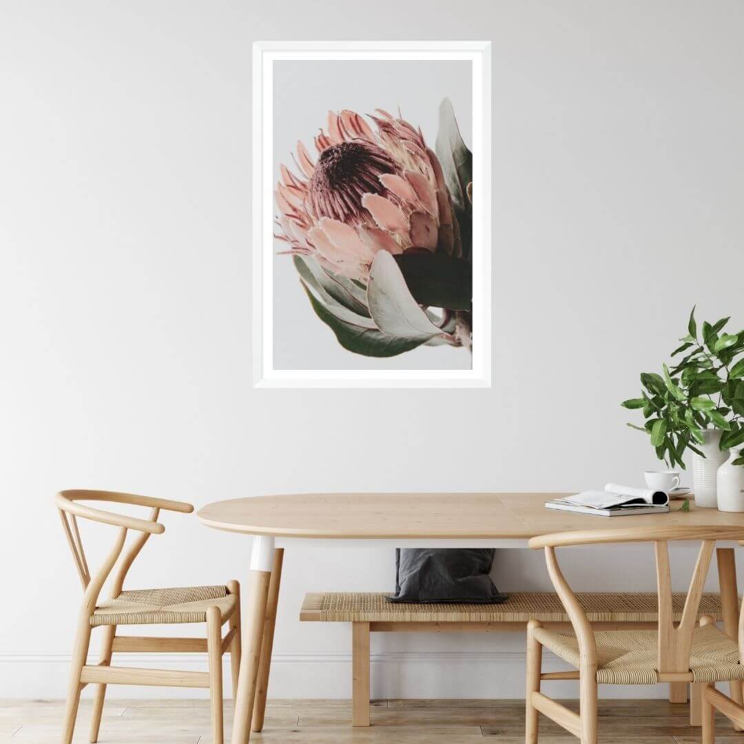 A wall art photo print of a peach protea floral a with a white frame, white border on dining room wall
