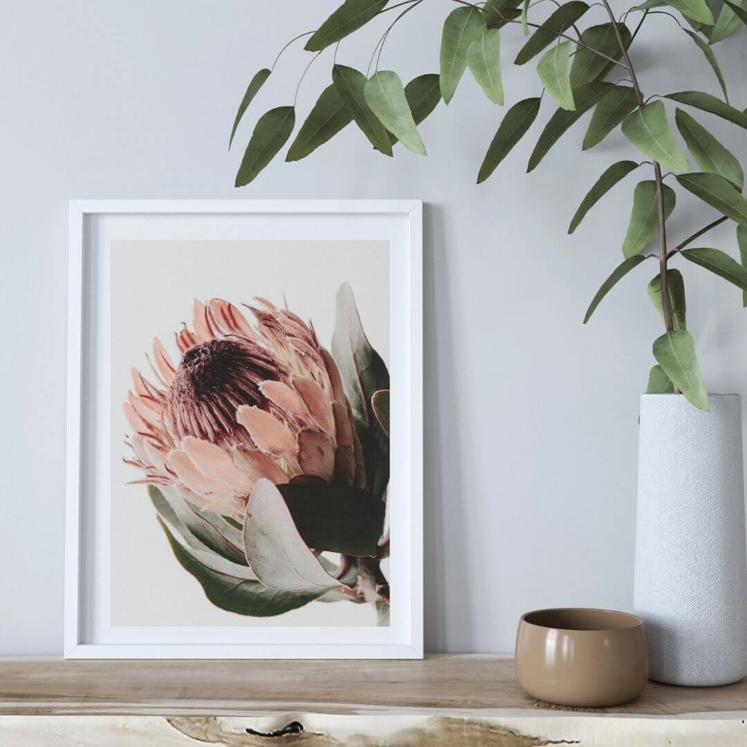 A wall art photo print of a peach protea floral a with a white frame or unframed to style shelves and empty walls