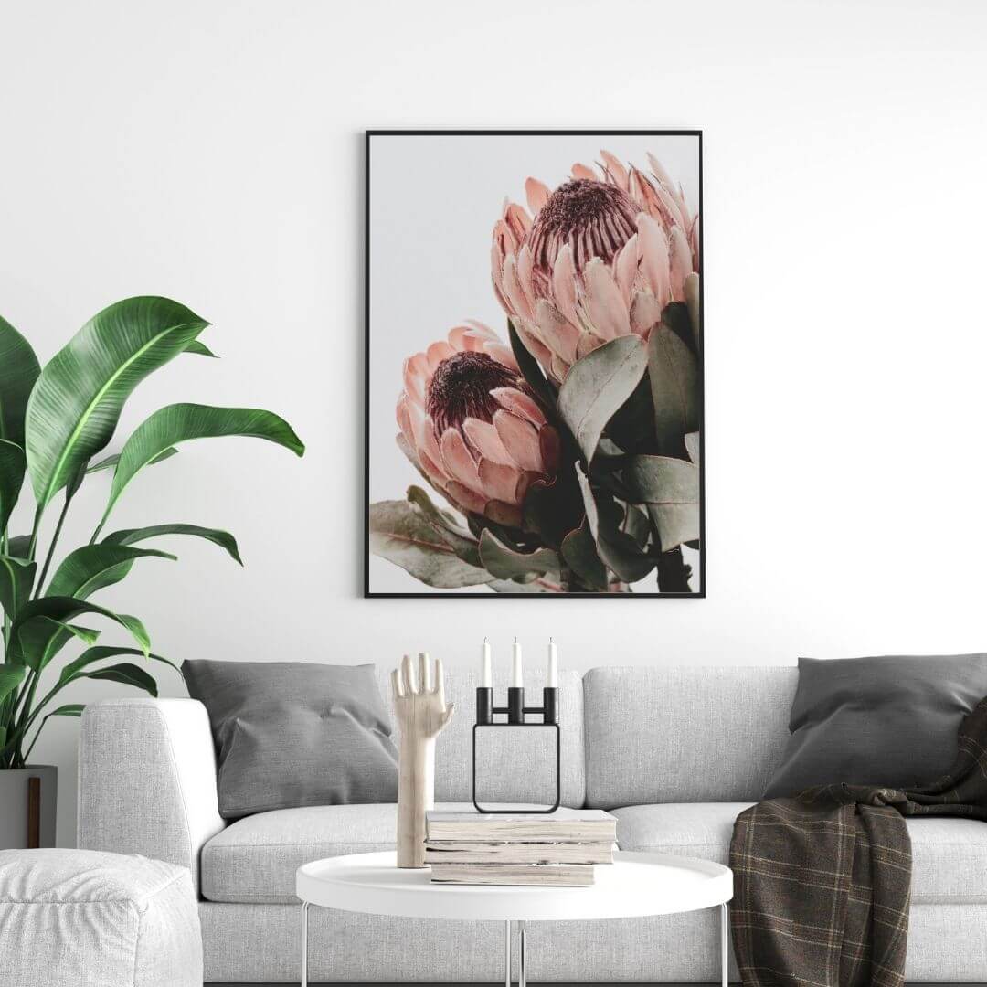The wall art photo print of a peach protea floral b with a black frame to style a coastal Australian living room
