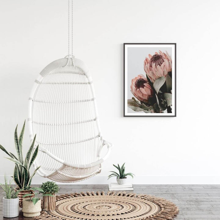The wall art photo print of a peach protea floral b with a black frame or unframed to decorate an empty wall