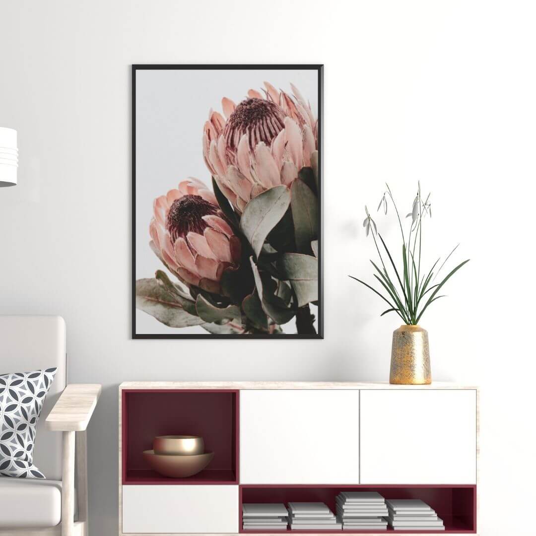 The wall art photo print of a peach protea floral b with a black frame or unframed to decorate a wall in your living room