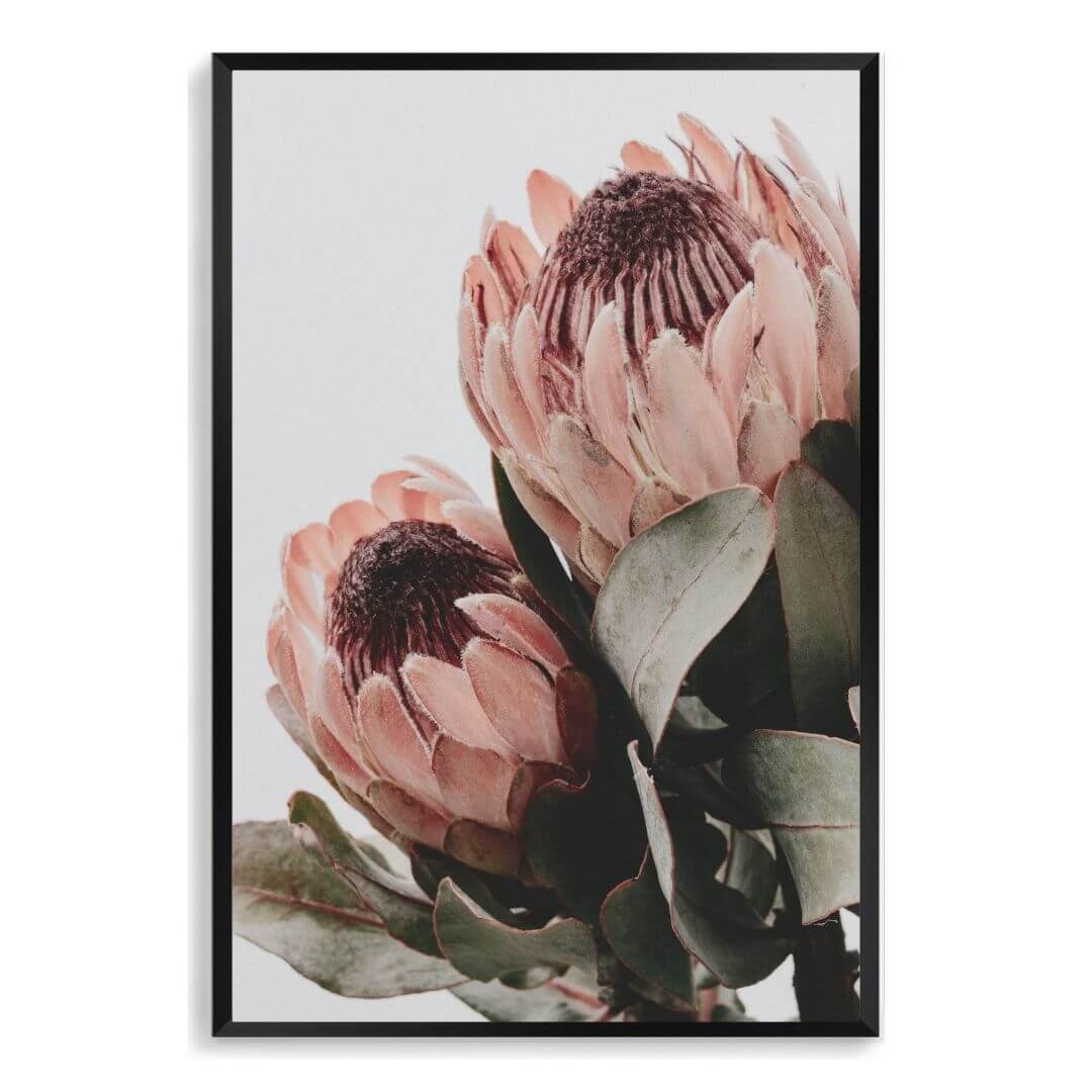The wall art photo print of a peach protea floral b with a black frame, no white border at Beautiful HomeDecor