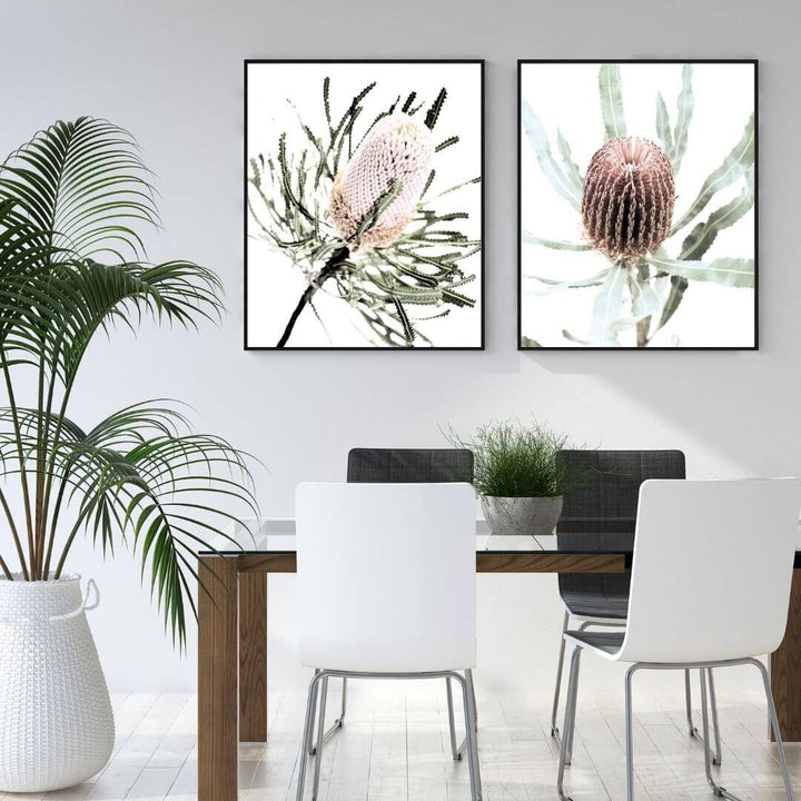 A set of 2 Australian Native Banksia Floral Flowers Wall Art Prints with a black frame or unframed for your office study wall