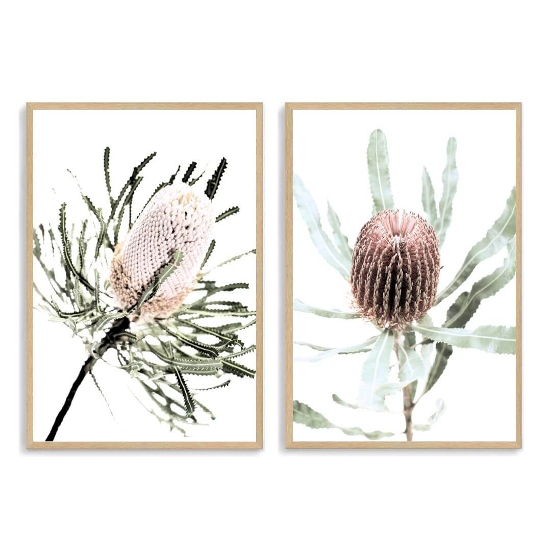 A set of 2 Australian Native Banksia Floral Flowers Wall Art Prints with a timber frame, no white border at Beautiful HomeDecor