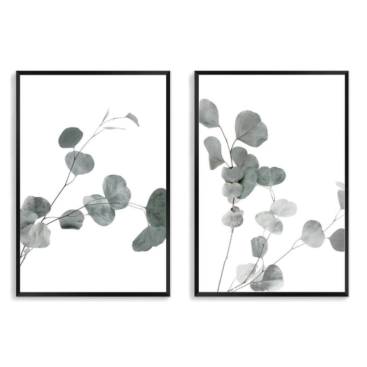 A set of 2 Australian Native Eucalyptus Leaves Wall Art Prints with a black frame, no white border at Beautiful HomeDecor