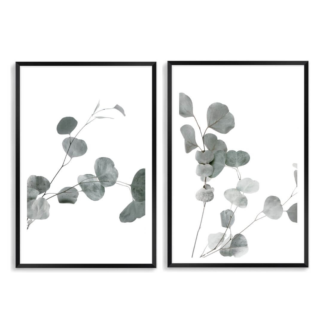 A set of 2 Australian Native Eucalyptus Leaves Wall Art Photo Prints with a black frame, white border by Beautiful Home Decor