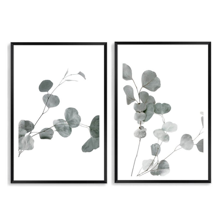 A set of 2 Australian Native Eucalyptus Leaves Wall Art Photo Prints with a black frame, white border by Beautiful Home Decor