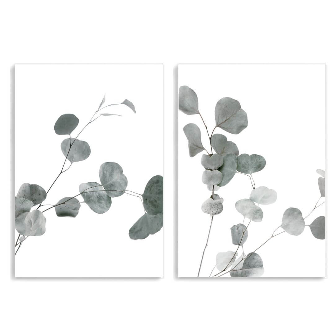 A set of 2 Australian Native Eucalyptus Leaves Wall Art Prints unframed, printed edge to edge without a white border
