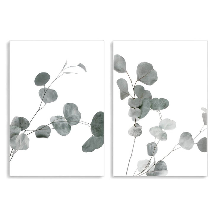 A set of 2 Australian Native Eucalyptus Leaves Wall Art Prints unframed, printed edge to edge without a white border